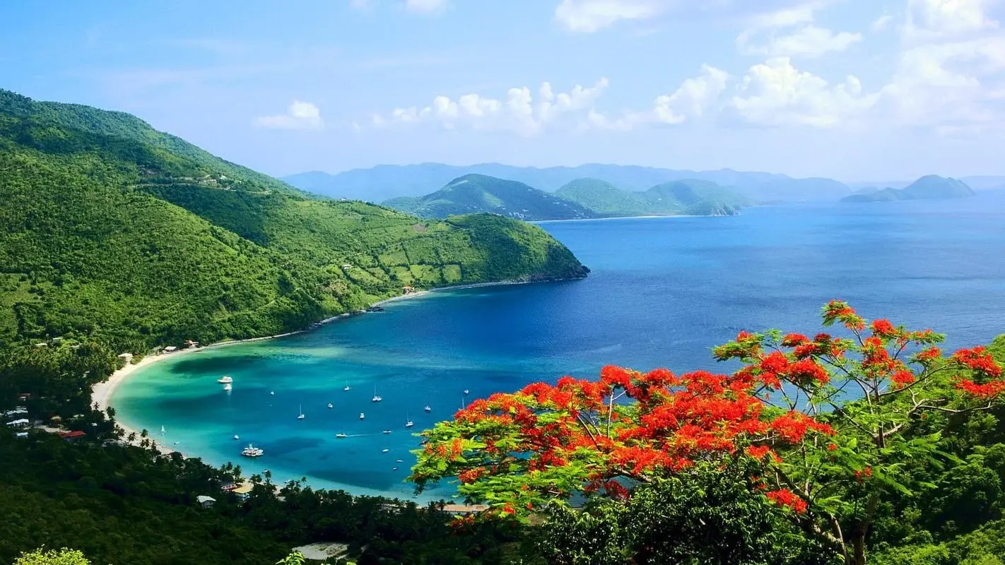 高精度自动化智能化